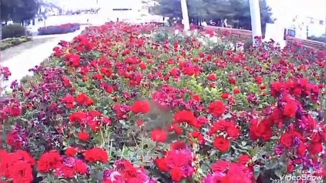 Мариуполь ⛵ мой любимый город ♥️ смотреть онлайн