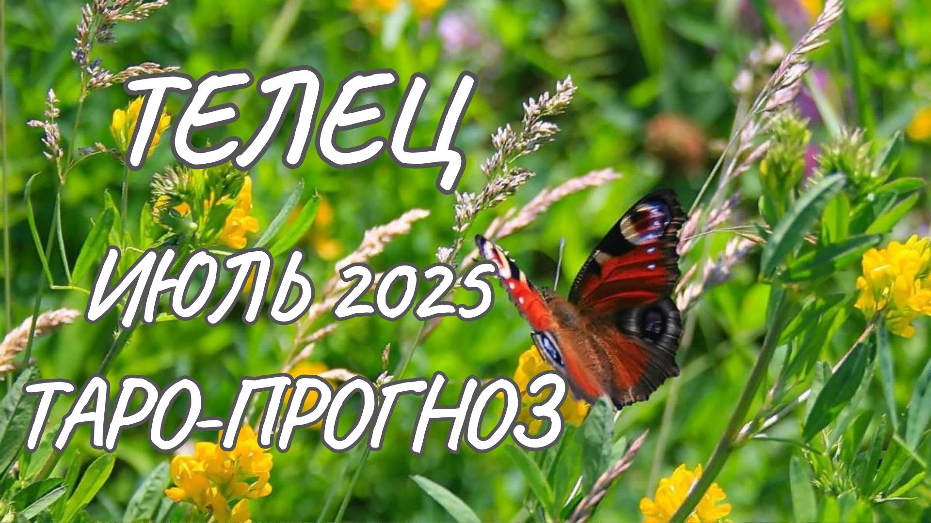 Телец ♉ Таро прогноз на июль 2025 года смотреть онлайн