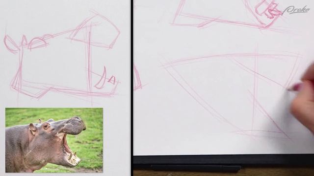 48. demo-simple-animal-portraits-level-2 смотреть онлайн