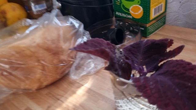 Понедельник, отличного начало недели! смотреть онлайн