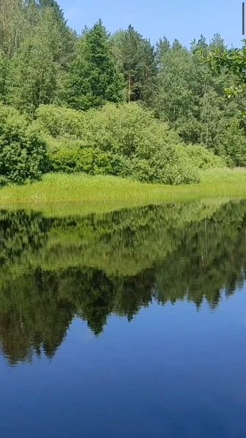 (53) Библия Евангелие от Иоанна глава 12 стих 35-43 смотреть онлайн