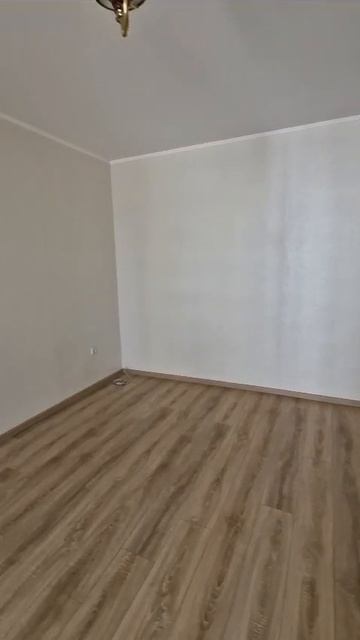 WhatsApp Video 2025-06-23 At 13.00.26