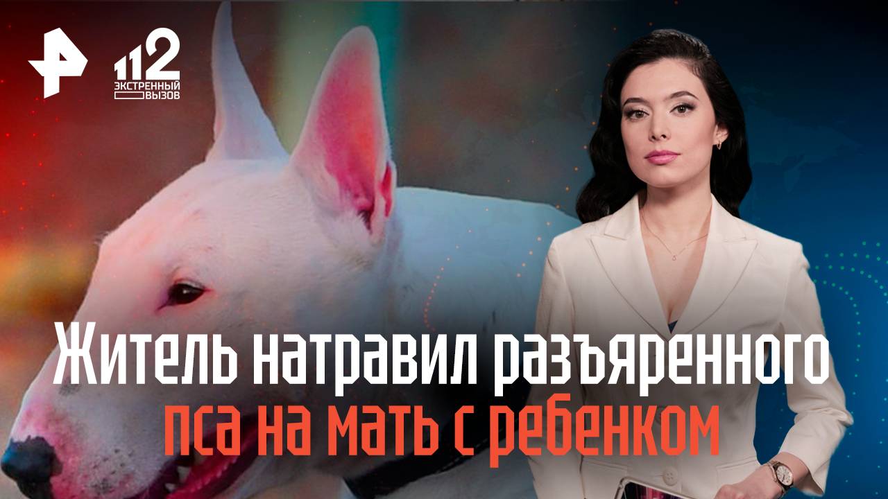 Житель Владивостока натравил разъяренного пса на мать с ребенком смотреть онлайн