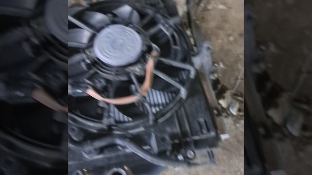 1000271261.mp4gf смотреть онлайн