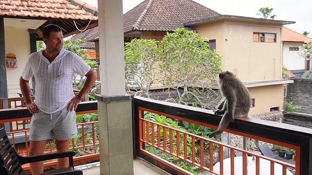 #ОБЕЗЬЯНЫ В ГОРОДЕ!