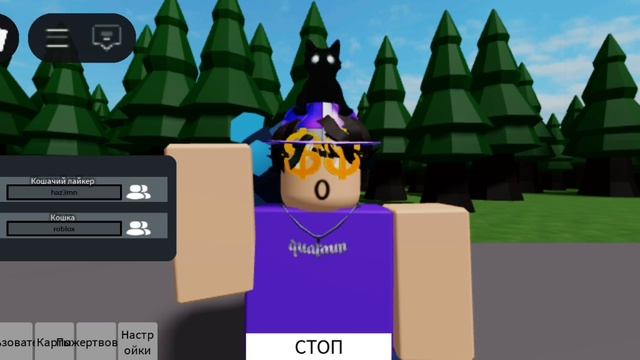 я в РБ хочу кота