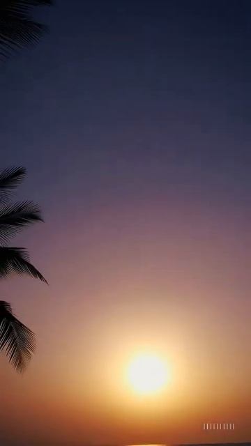 “Закат над морем — Крылья ночи | Lilia Lyubimova — Wings of the Night (2025)” смотреть онлайн