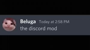 Белуга на 3 часа 
я скоро буду в дискорде