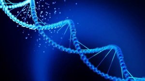 Последняя Матрица Гаряева ☀️ Очистка ДНК  обновлённая оригинальная улучшенная 2025 Пётр Гаряев