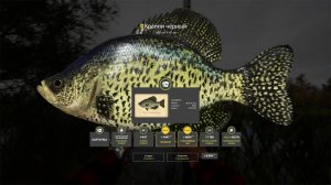 СУПЕР ТОЧКА НА ЛОСИНОМ ОЗЕРЕ С ТРОФЕЯМИ И ОТЛИЧНЫЙ ФАРМ НА ЛОСОСЕ КАСПИЙСКОМ В РУССКОЙ РЫБАЛКЕ 4 РР4