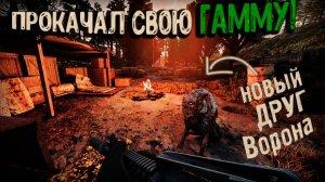 Новые МОДЫ - новые впечатления! Путь Ворона #21 Прохождение GAMMA 0.9.3.1 S.T.A.L.K.E.R. Anomaly