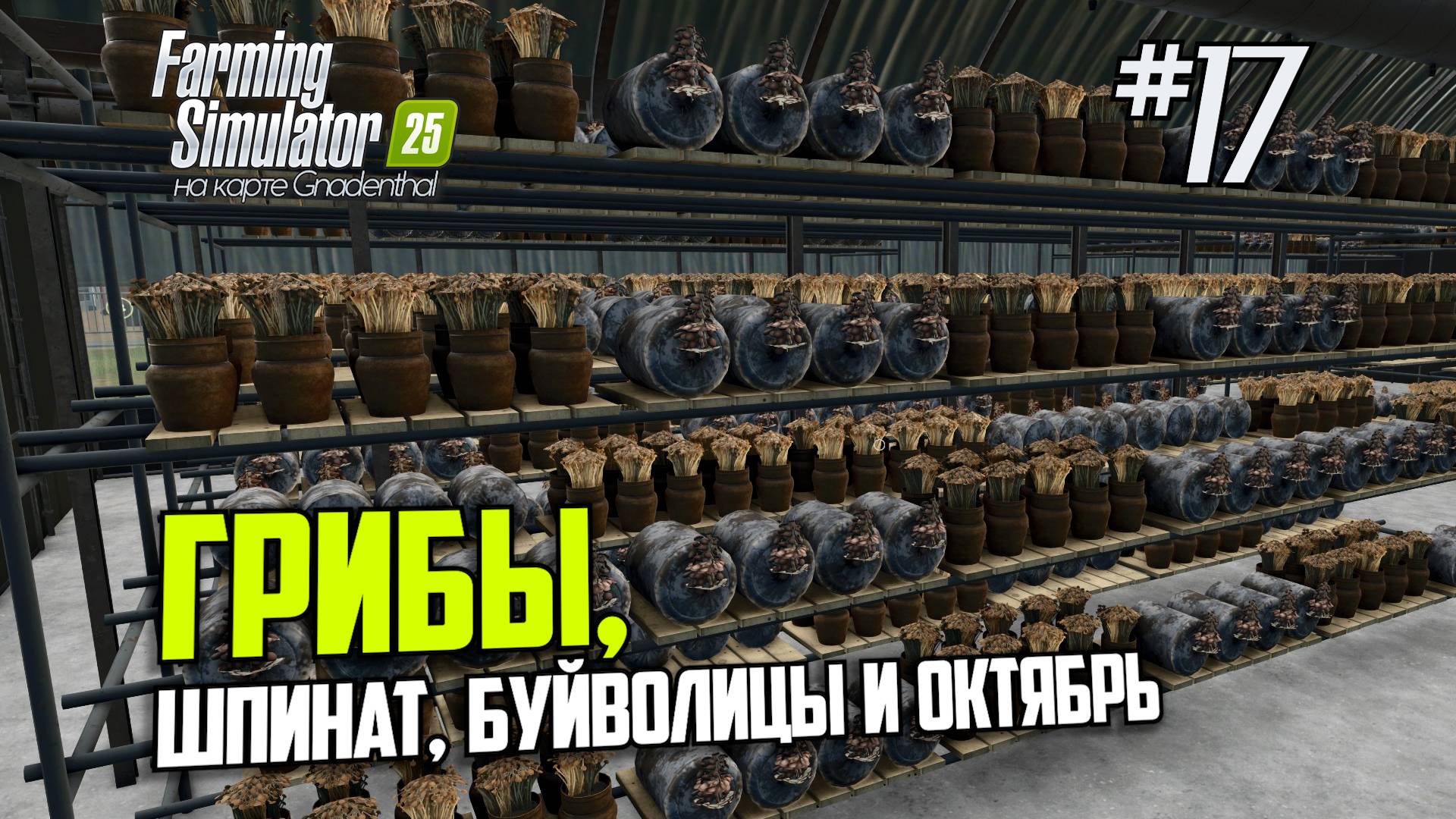 FS17: Farming Simulator 25 - пойдём в октябрь (s0ver стримит)
