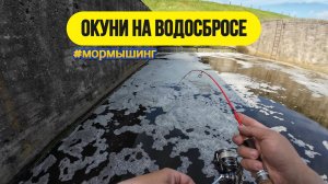 #мормышинг |  За окунями на водосброс |