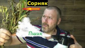 Борьба с сорняками