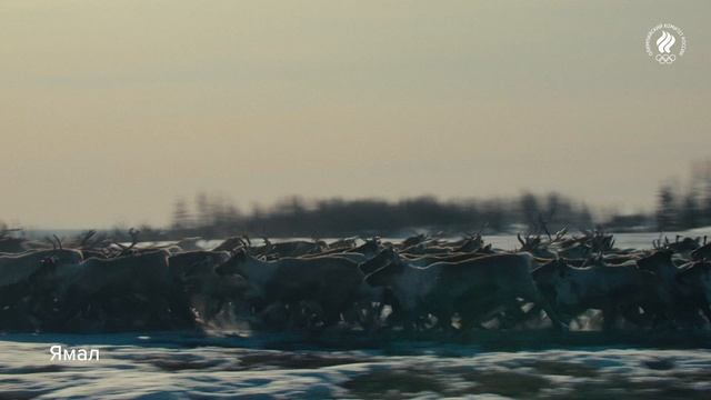 23 июня – Международный Олимпийский день смотреть онлайн