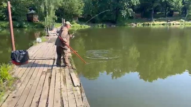 Огромный толстолобик смотреть онлайн