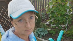 Видео привет с 6 соток 21 июня 2025 года.