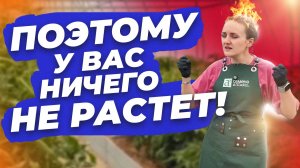 ПОЧЕМУ ОПАДАЮТ ЗАВЯЗИ, ЖИРУЮТ ТОМАТЫ, А УДОБРЕНИЯ НЕ РАБОТАЮТ?