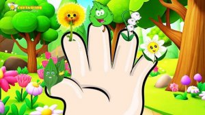 Зелёная аптека.  Папа-пальчик.