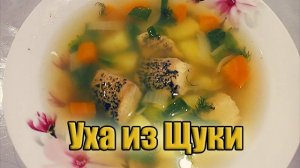 Уха из щуки в домашних условиях | Рецепт классический