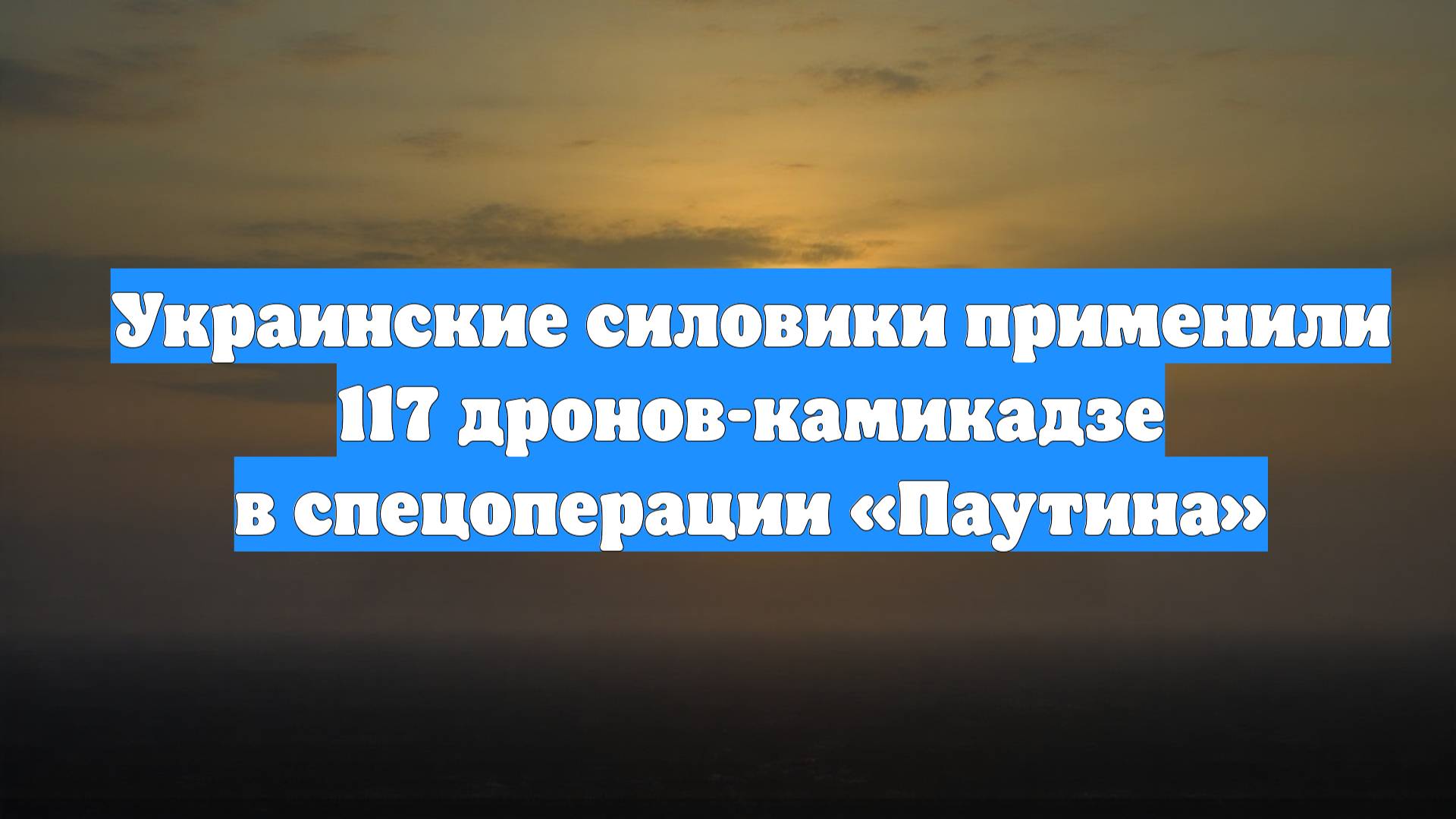 Украинские силовики применили 117 дронов-камикадзе в спецоперации «Паутина»
