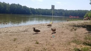 Мы на голубых озёрах 15.06.25.🌞