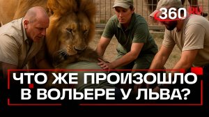 Лев не нападал на директора парка Тайган. Правда от спасительницы Олега Зубкова