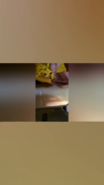 обновляем костюм курочки