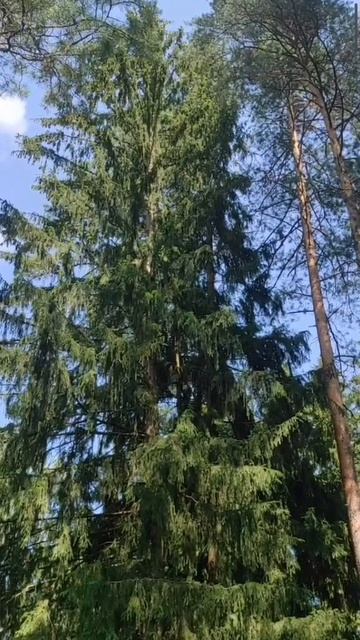 (54) Библия Евангелие от Иоанна глава 12 стих 44-50 смотреть онлайн