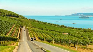 Alex Song - Темрюк-Тамань