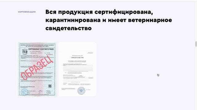 ТД Фарма. Обзор сайта