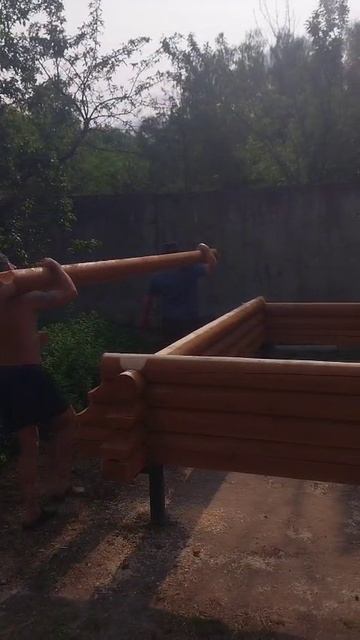 Что такое перенос 2025