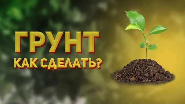 Грунт для цитрусовых своими руками - какая нужна земля для домашнего лимона_