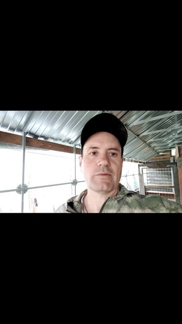 Построили большой цыплятник 3 на 8 м