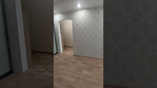 11446 смотреть онлайн