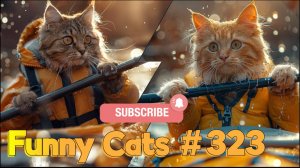Смешные коты #323