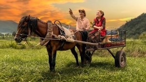 Черничный урожай и заготовки на зиму — деревенские сладости своими руками