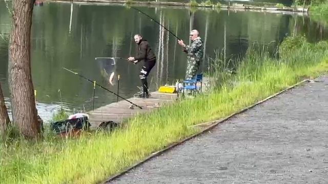 Утро Карп смотреть онлайн