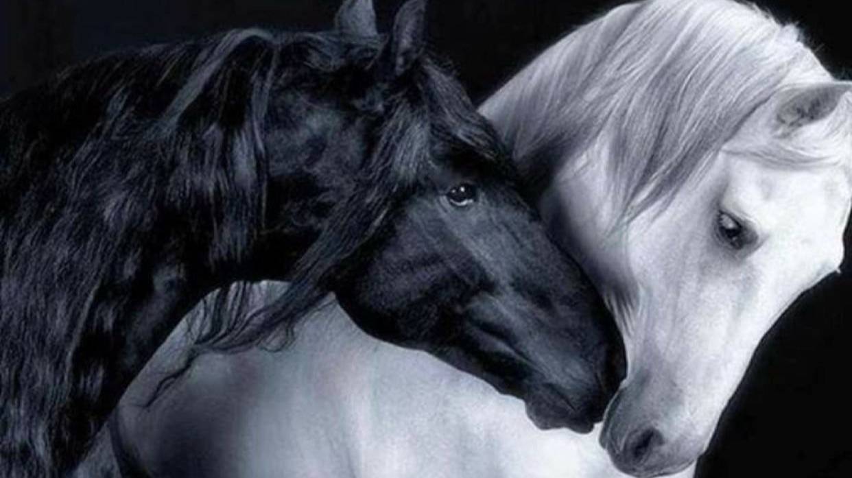 Ziggan - Allegro..автор ролика Светлый.. смотреть онлайн