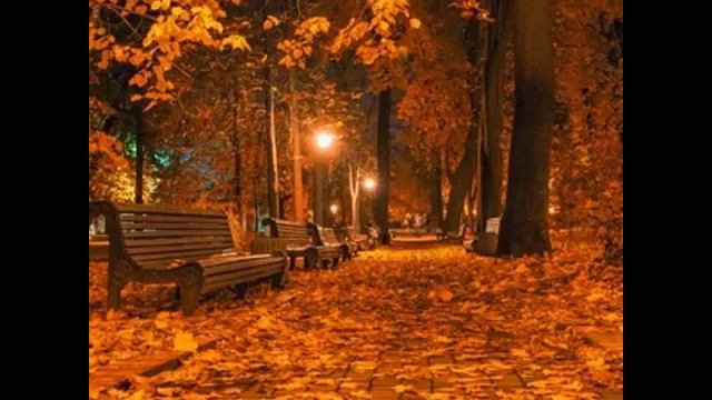 Осень и зима самые сказочные , волшебные и атмосферные времена года.❤🧡💛🍁🍂🌧☔🎄💙💚❄🌨❄ .mp4 смотреть онлайн