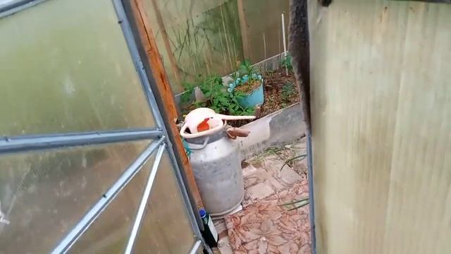 Огуречник смотреть онлайн