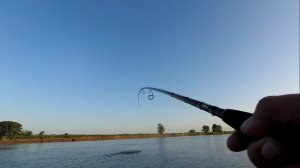 ЭКСТРИМАЛЬНАЯ РЫБАЛКА НА ЧАРЫШЕ, МАНДУЛА ИЛИ ТИОГА? ЖОР ЩУКИ в ИЮНЕ