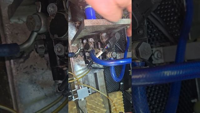 Как самостоятельно проверить тнвд смотреть онлайн