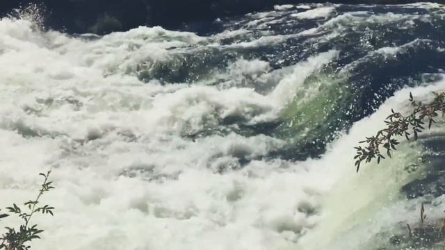 Ambient Meditation Music | Wildlife And Nature Video Compilation | Relax Music