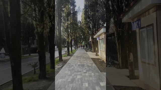 Адлер. 6-день нашего отдыха