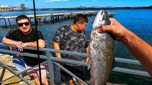 Что можно словить на набережной в Ялте. Рыбалка в черном море. Ловля сбежавшей форели