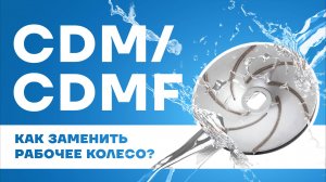 Замена рабочего колеса и диффузора в насосах CNP серии CDM/CDMF