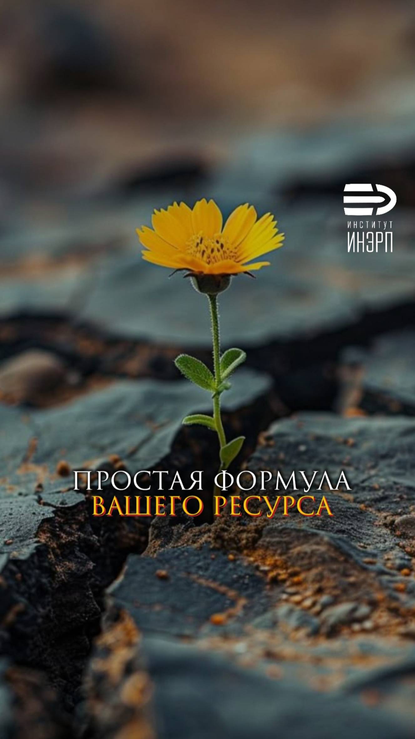 Простая формула вашего ресурса смотреть онлайн