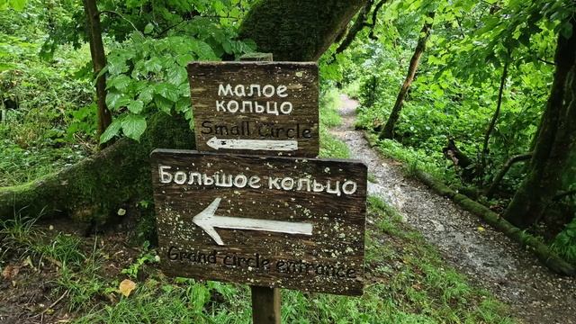 443 Сочи - Адлер