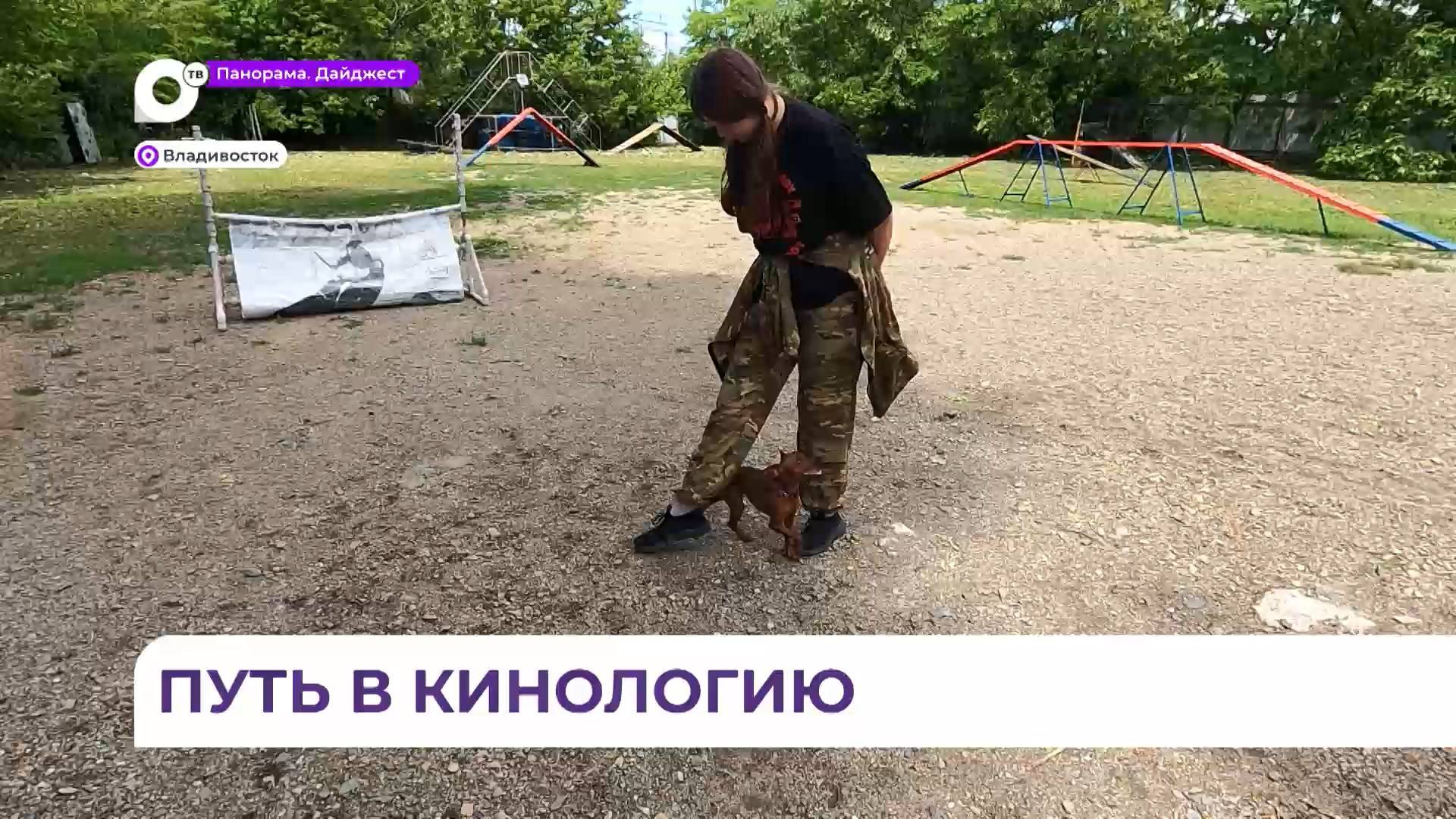 В Приморье проект «Путь в кинологию» даёт возможность стать профессиональным кинологом смотреть онлайн